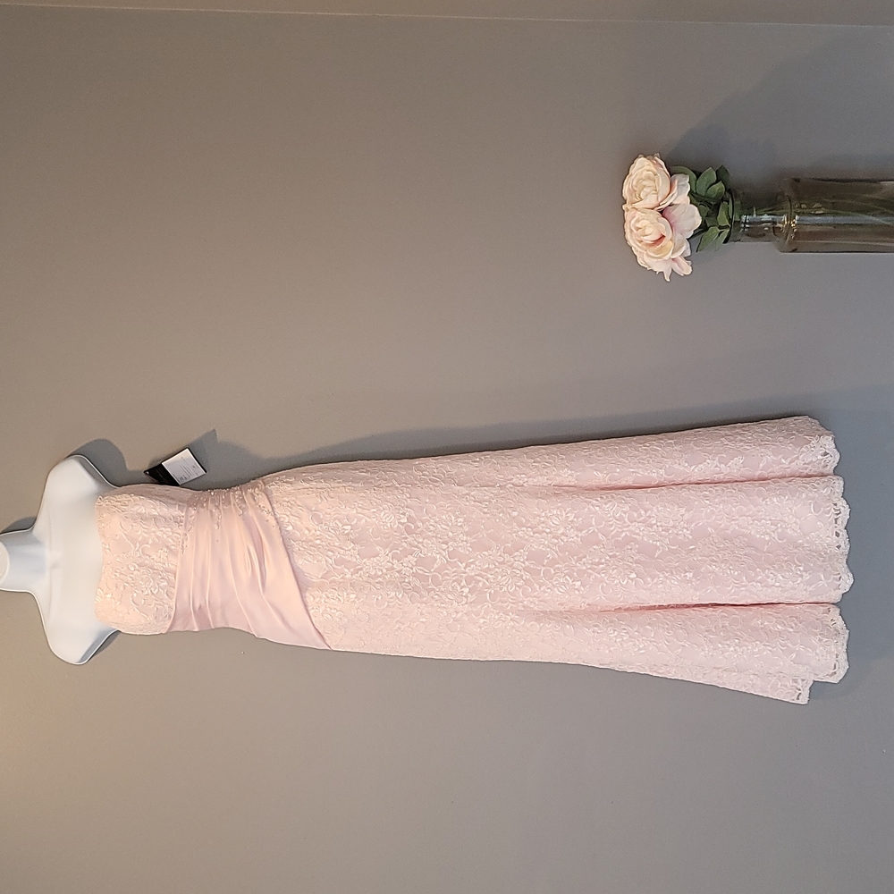 NWT Caterina Collection Pink Lace Jordan Formal Gown Size 8